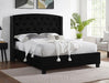 EVA King Bed Black Velvet image