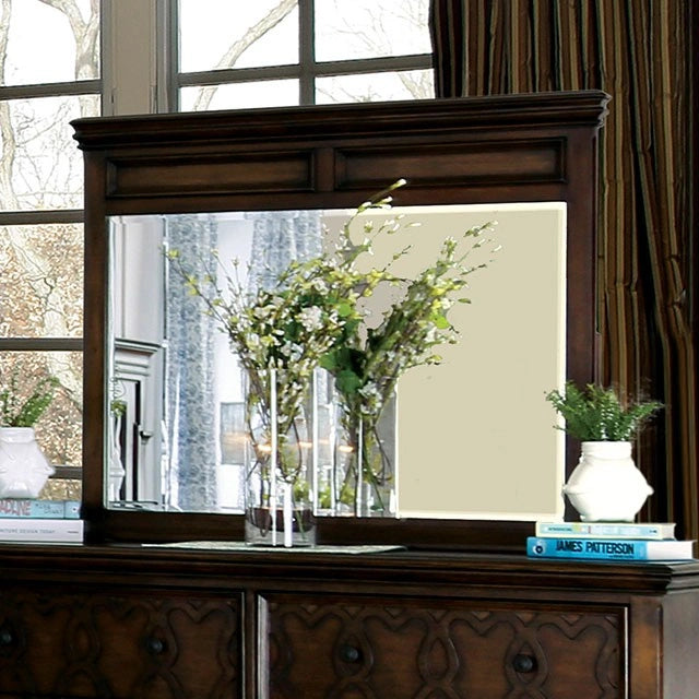Minerva Mirror
