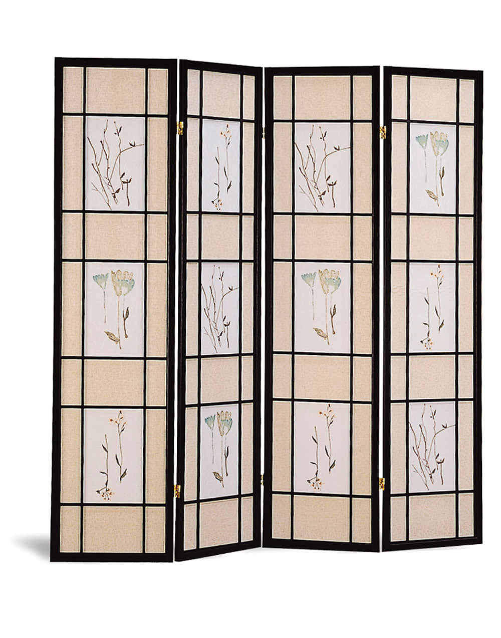 Catabella Collection