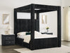 Carla Queen Bed Black image