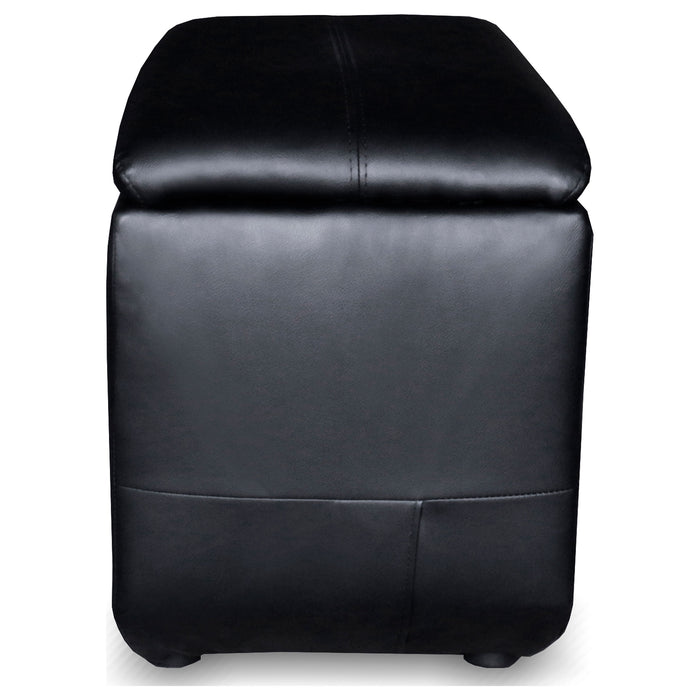 Cyrus Theater Seating