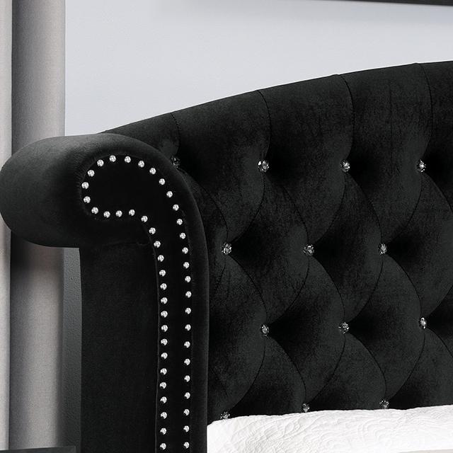 Zohar Bed