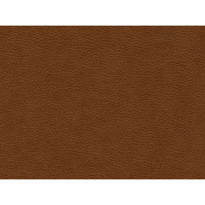 Hampton Loveseat In Fiero (Top Grain/PVC)